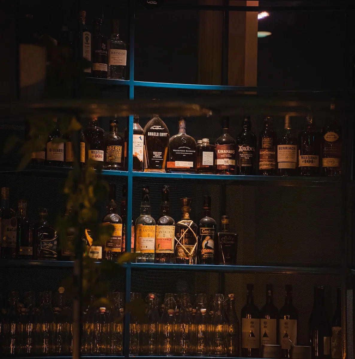 Monkey Bar – Atmosphäre in Köln, Nordrhein-Westfalen