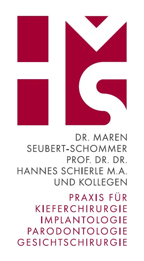 Prof. Dr. Dr. Hannes Schierle M.A.; Dr. Maren Seubert-Schommer & Kollegen – Vom Inhaber in Karlsruhe, Baden-Württemberg