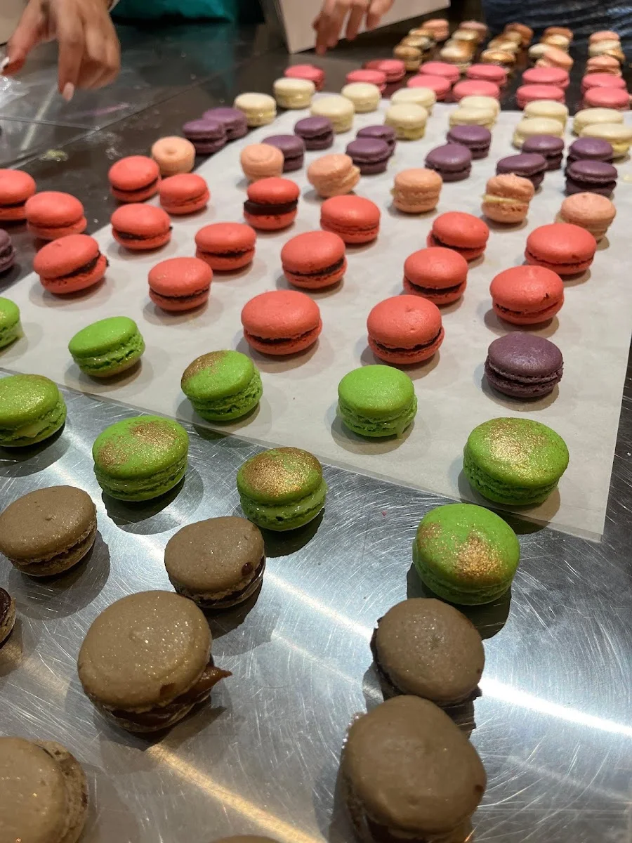 Yahelis chocolate and patisserie workshops – Profilfoto in Berlin