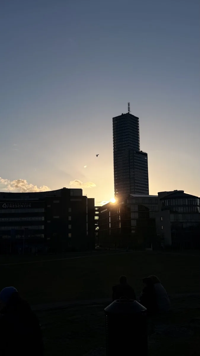 MediaPark Köln – Besucherfoto von Dino in Köln, Nordrhein-Westfalen