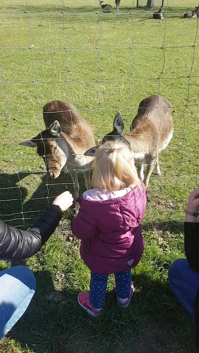 Tierheim Düren – Vereinigung / Organisation in Düren, Nordrhein-Westfalen