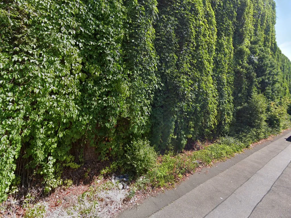 MS Connexion Complex – Street View & 360°-Fotos in Mannheim, Baden-Württemberg