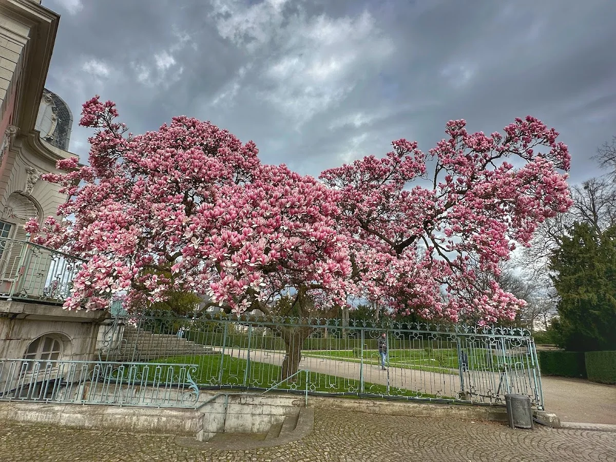 Schloss Benrath – Museum für europäische Gartenkunst in Düsseldorf, Nordrhein-Westfalen
