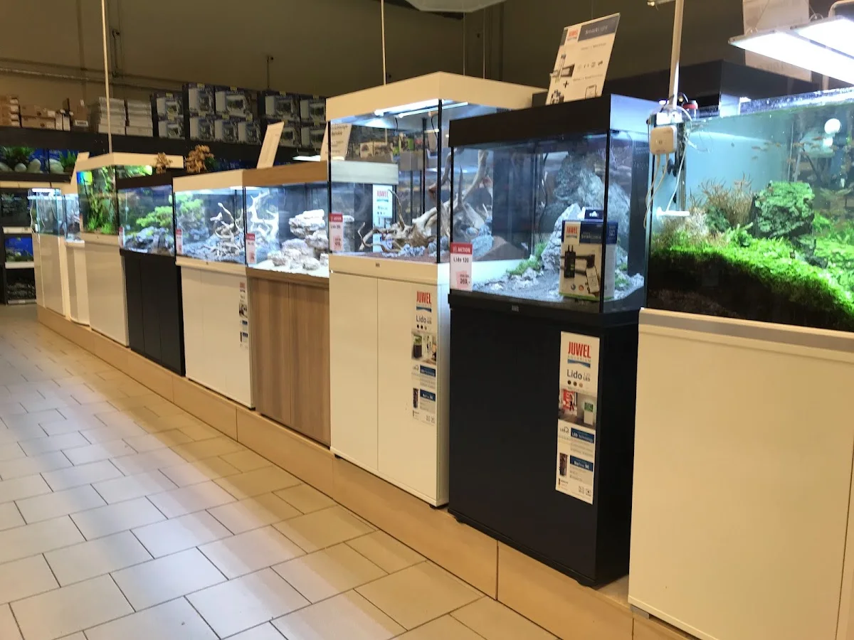 ZOO & Co. Sankt Augustin – Aquarium in Sankt Augustin, Nordrhein-Westfalen