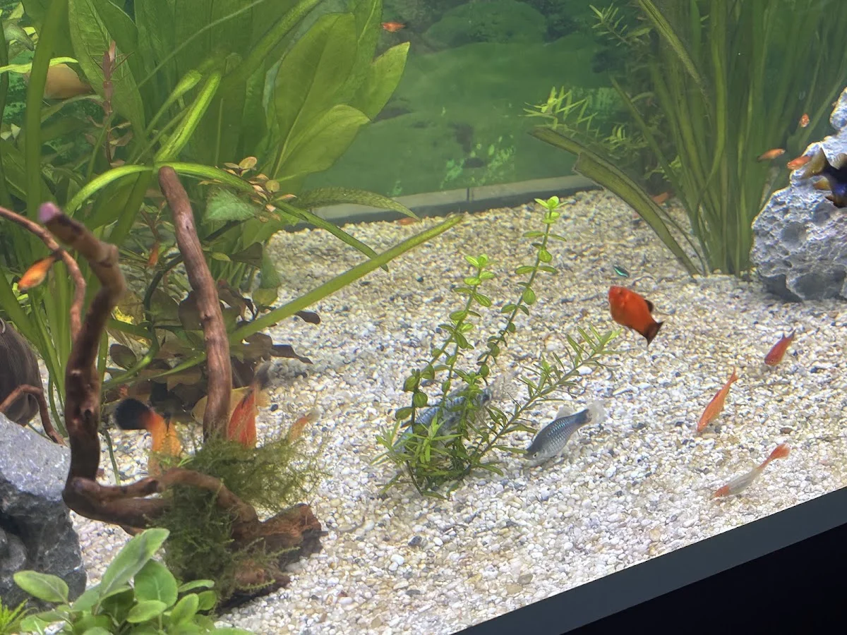 ZOO & Co. Sankt Augustin – Besucherfoto von Mehmet Gümüs in Sankt Augustin, Nordrhein-Westfalen