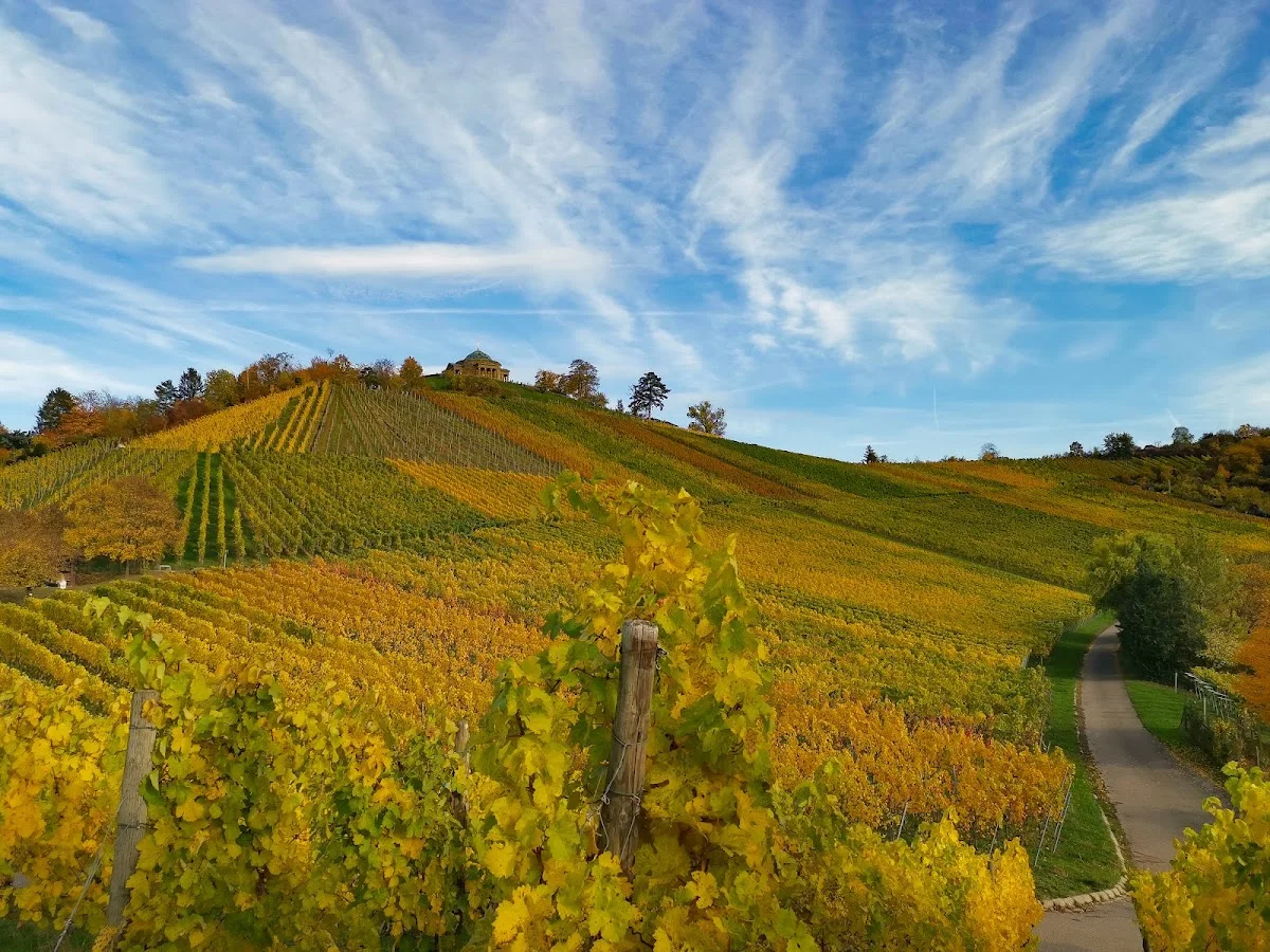 Grabkapelle auf dem Württemberg – Profilfoto in Stuttgart, Baden-Württemberg
