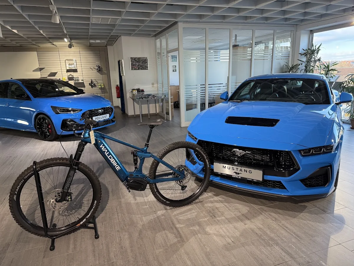 Autohaus Epple: Ford, BYD, Mazda, E-Bikes von Waldbike in Rutesheim – Innenansichten in Rutesheim, Baden-Württemberg