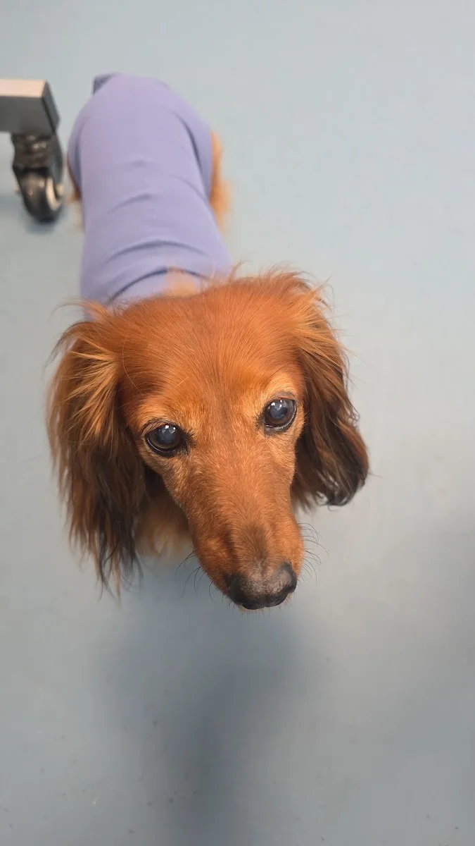 Valera Tierklinik Berlin – Besucherfoto: Gabi Behling in Berlin