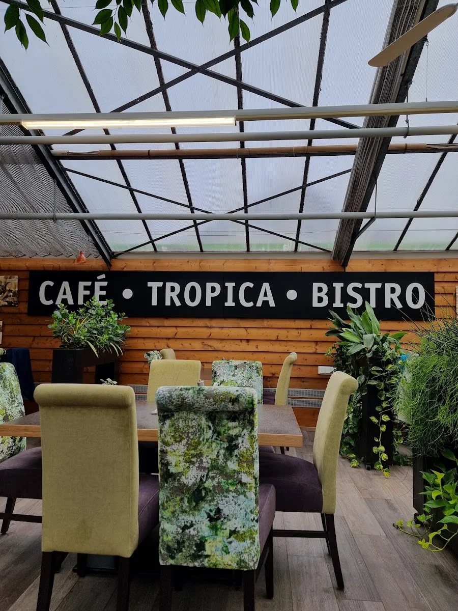 Tropica Raritätengärtnerei GmbH – Garten in Kriftel, Hessen