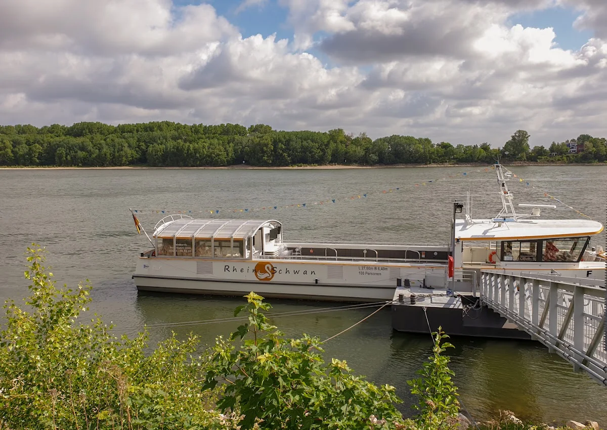 RHEINSCHWAN Personenfähre (Anlegesteg Lülsdorf-Wesseling) // WEISBARTH FAHRGASTSCHIFF – Profilfoto in Wesseling, Nordrhein-Westfalen