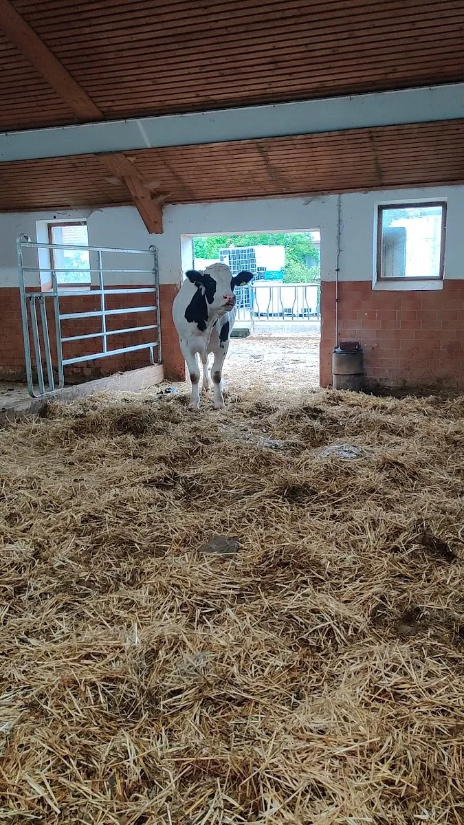 Reitsberger-Hof (nicht Wirtshaus) – Landwirtschaftsbetrieb in Vaterstetten, Bayern