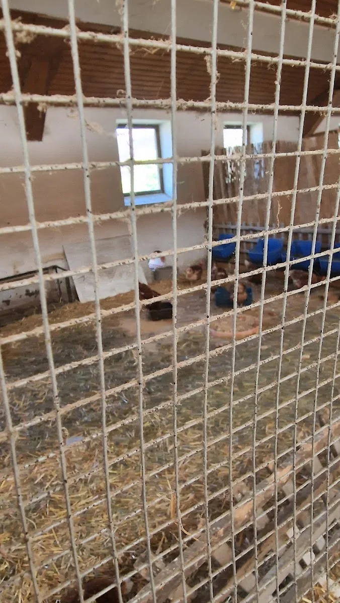 Reitsberger-Hof (nicht Wirtshaus) – Besucherfoto von inka kluge -grund in Vaterstetten, Bayern