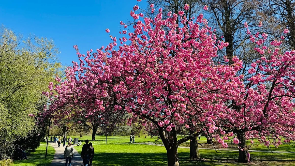 Japanischer Garten Leverkusen – Carl-Duisberg-Park in Leverkusen, Nordrhein-Westfalen