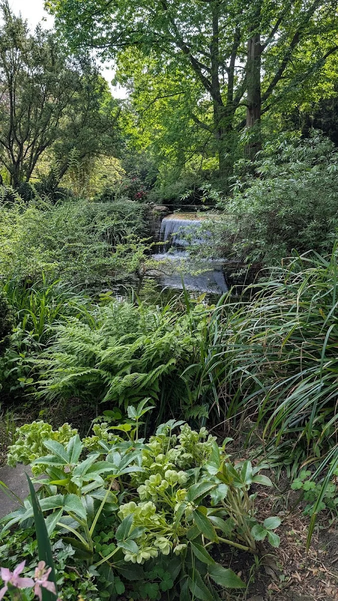 Japanischer Garten Leverkusen – Besucherfoto von Dima in Leverkusen, Nordrhein-Westfalen