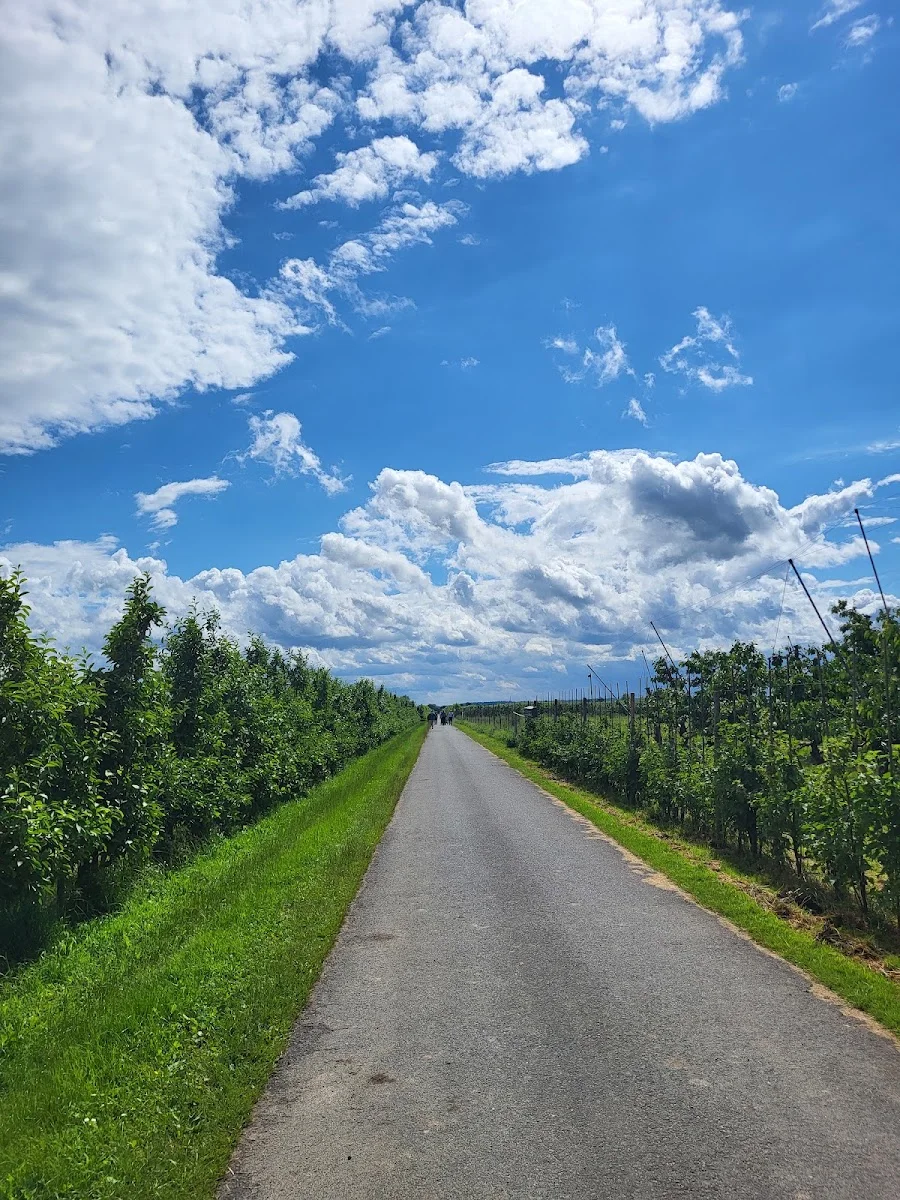 Obsthof Lefers – Obst- und Gemüsehändler in Jork, Niedersachsen