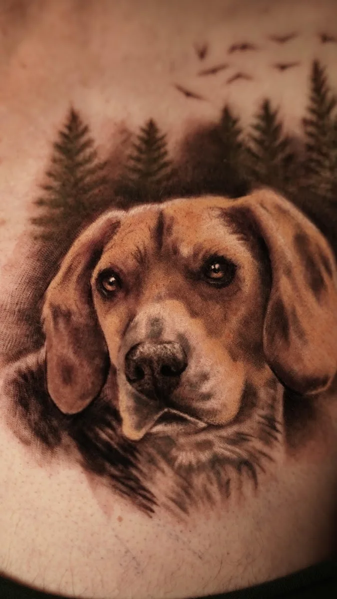Bavaria Ink – Besucherfoto: Meute Beagle in Fürth, Bayern