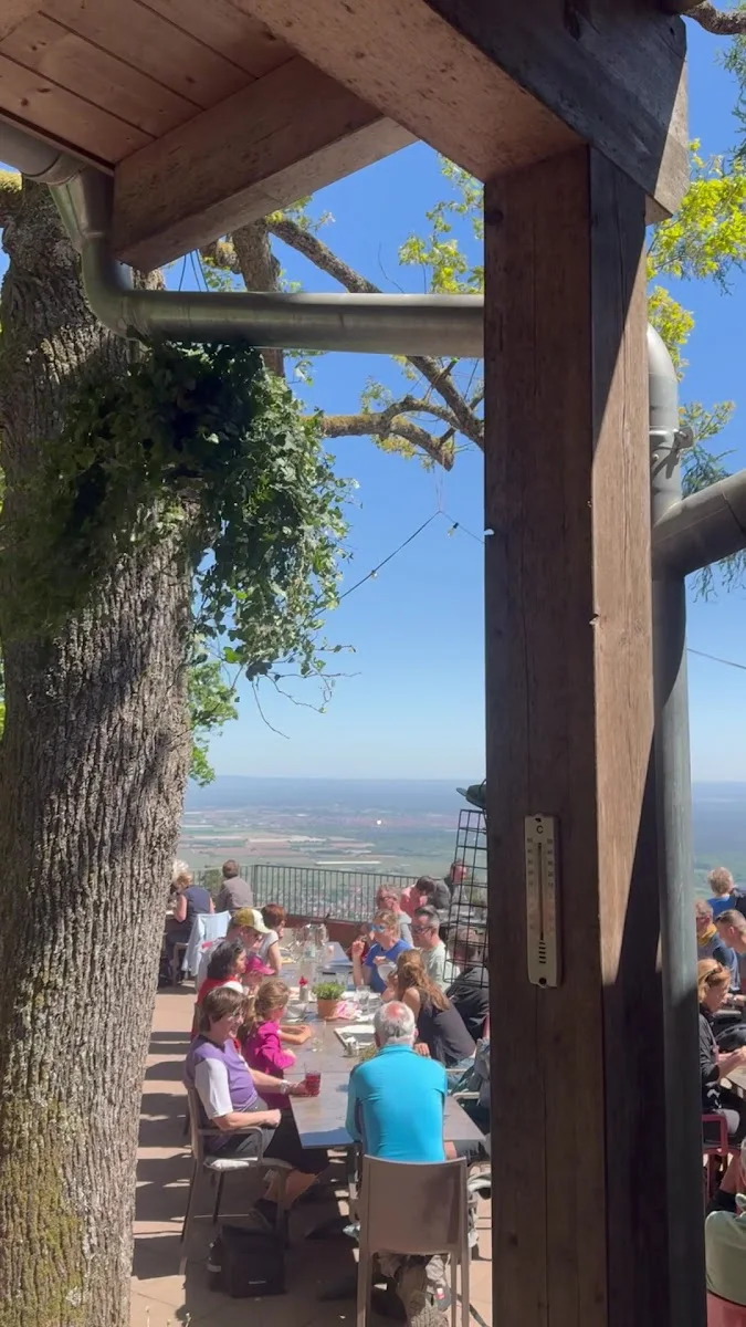 woibiet | weinbiethaus neustadt – Atmosphäre in Neustadt an der Weinstraße, Rheinland-Pfalz