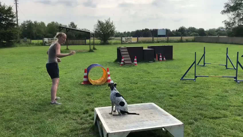 Hundeschule Freude am Hund – München Olympiapark – Vom Inhaber in München, Bayern