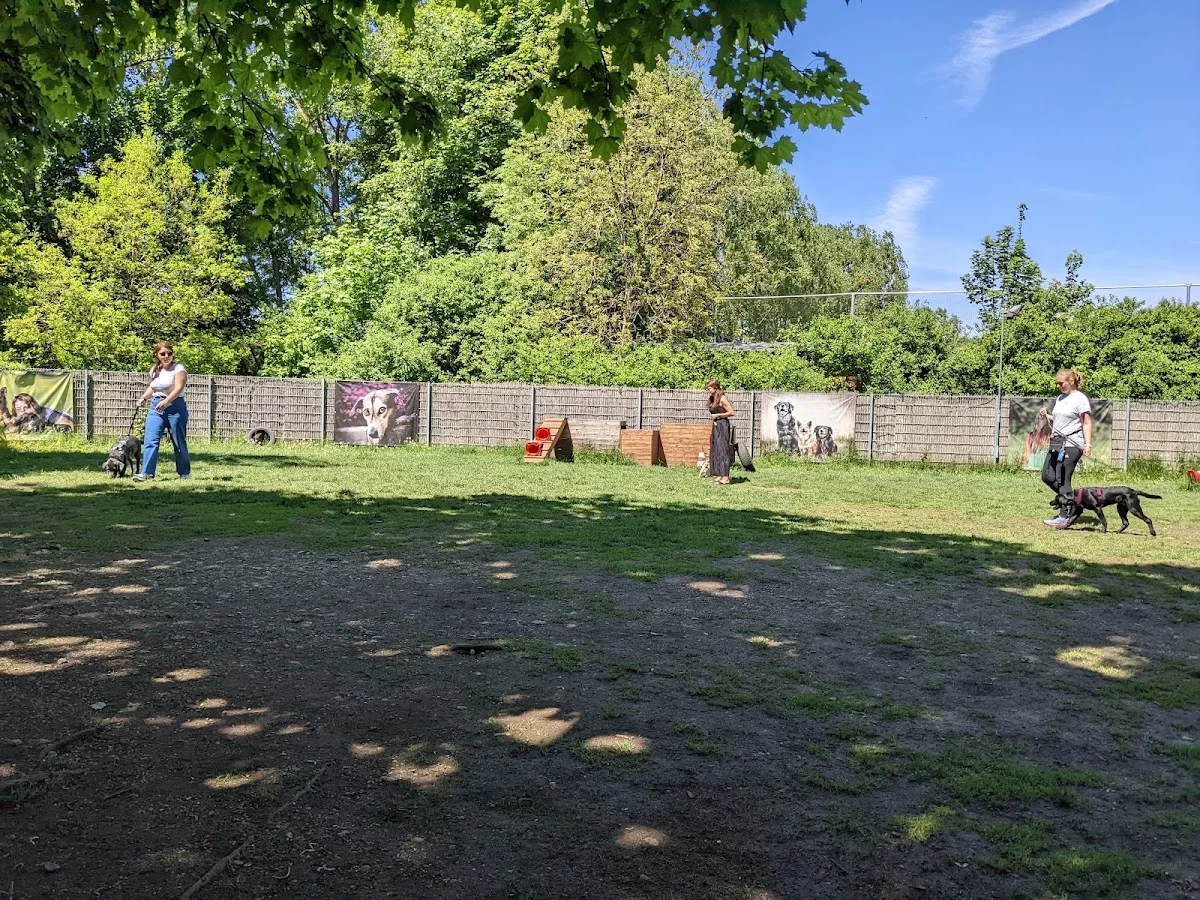 Hundeschule Freude am Hund – München Olympiapark – Profilfoto in München, Bayern