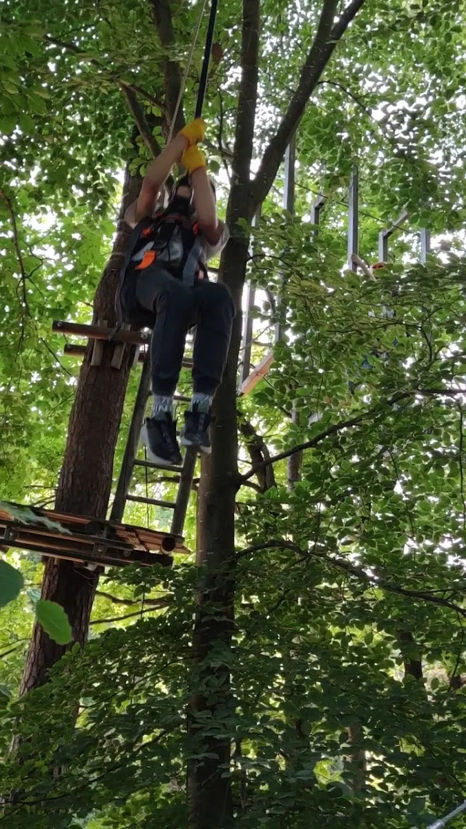 Münchner Wald Kletterwald Vaterstetten – Freizeitpark in Vaterstetten, Bayern