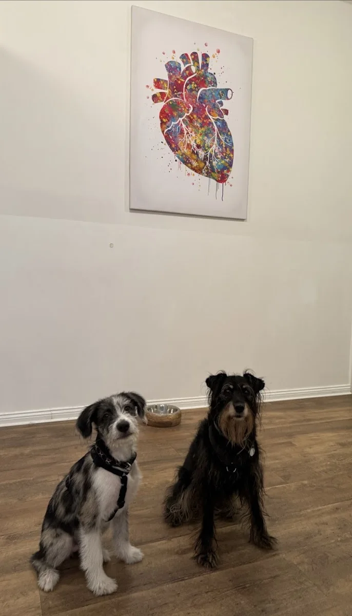 Kleintierkardiologie Tempelhof – Besucherfoto: Hanna in Berlin