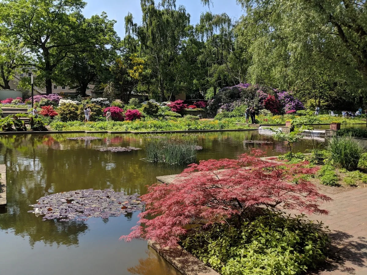 Restaurant Rosenhof – Wasserkaskaden Planten un Blomen in Hamburg