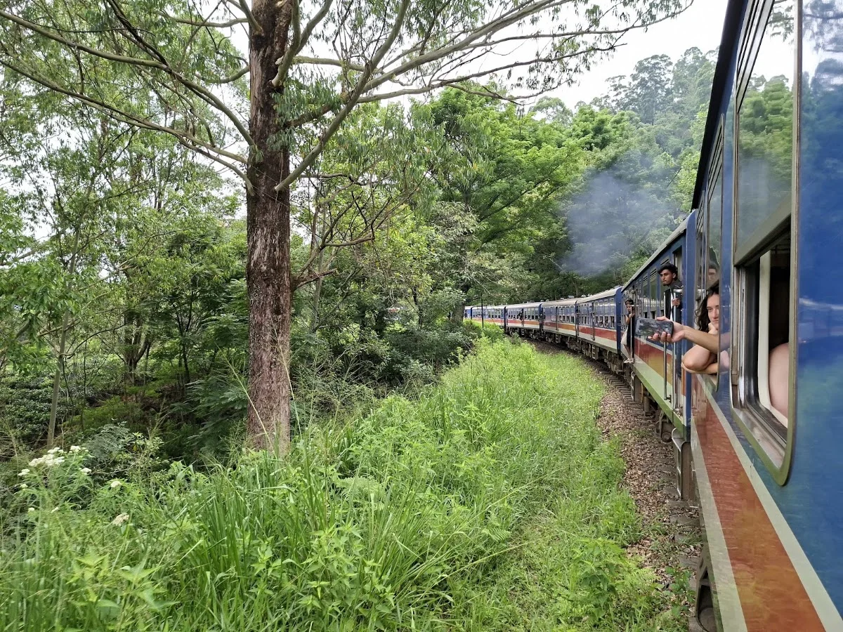 Nugadhenitours Sri Lanka Travels – Besucherfoto: Julia Küttler in Düsseldorf, Nordrhein-Westfalen