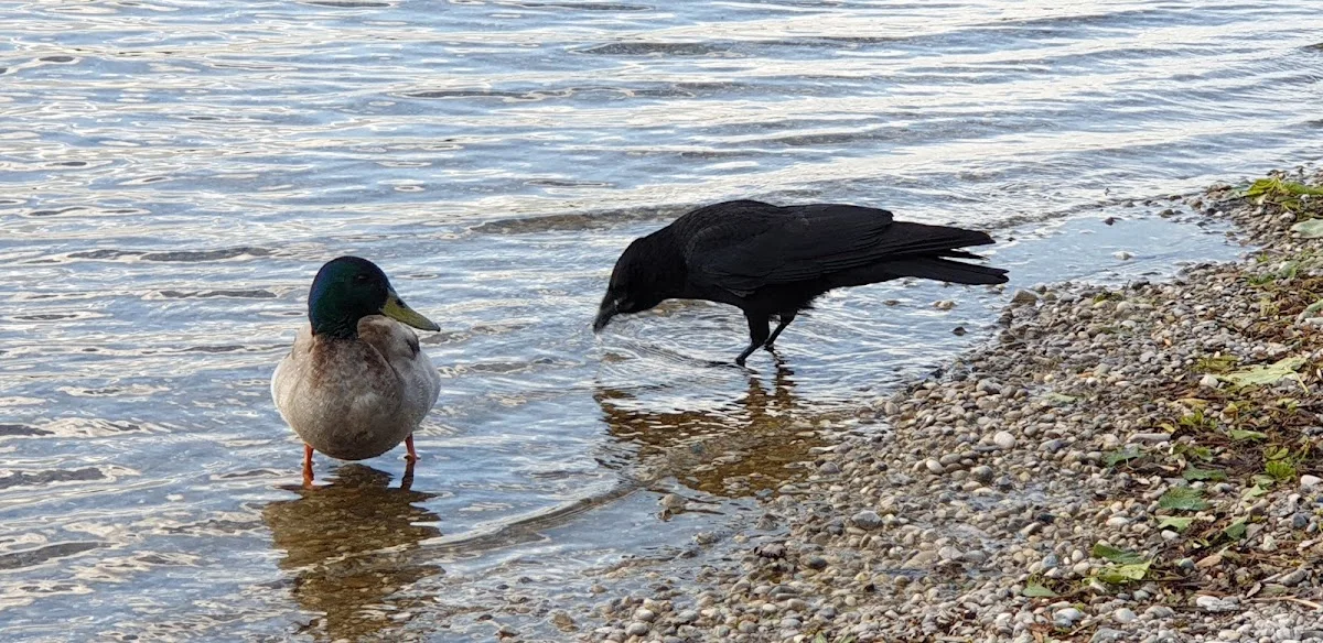 Erholungsgebiet Karlsfelder See – Strand in Karlsfeld, Bayern