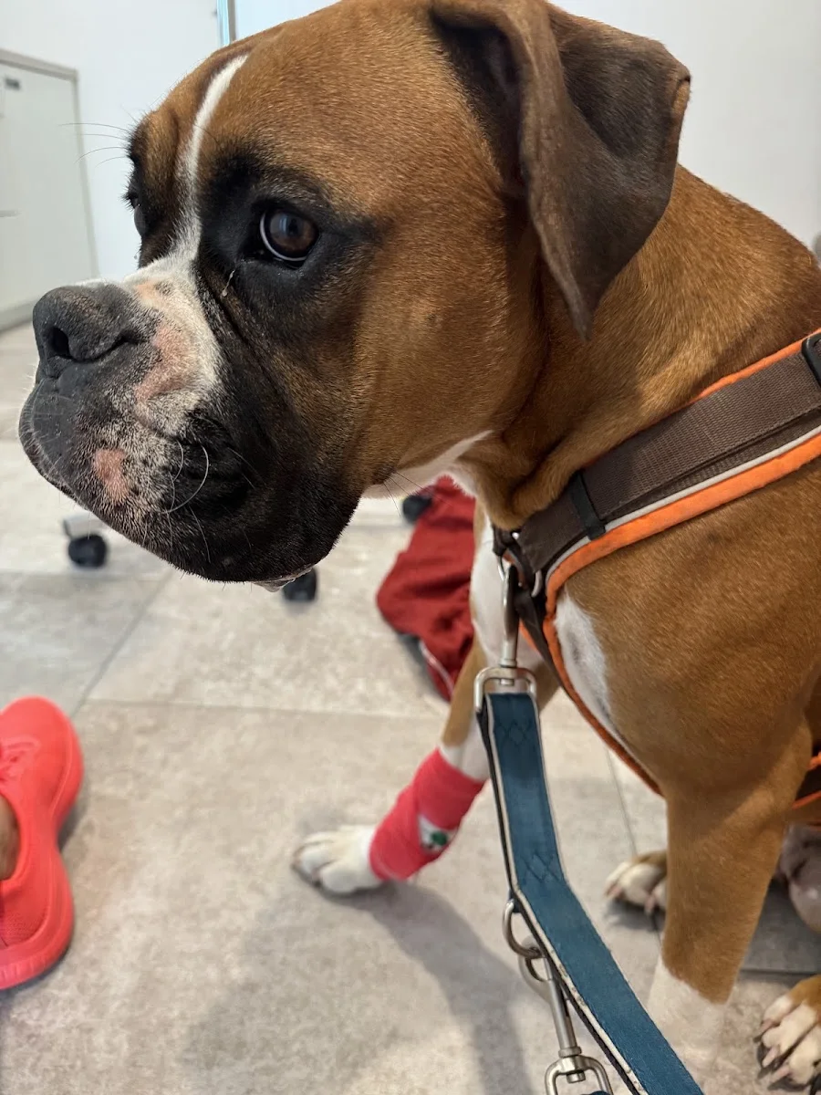 Tierklinik Neu-Isenburg – Profilfoto in Neu-Isenburg, Hessen