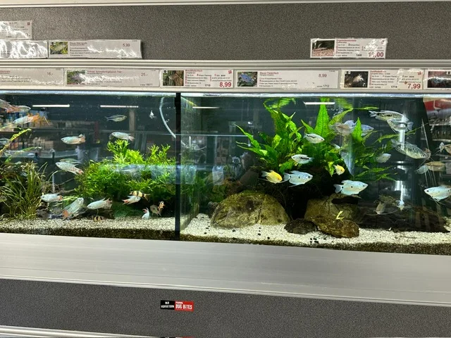 ZOO & Co. Oststeinbek – Besucherfoto von Andreas Schmidt in Oststeinbek, Schleswig-Holstein