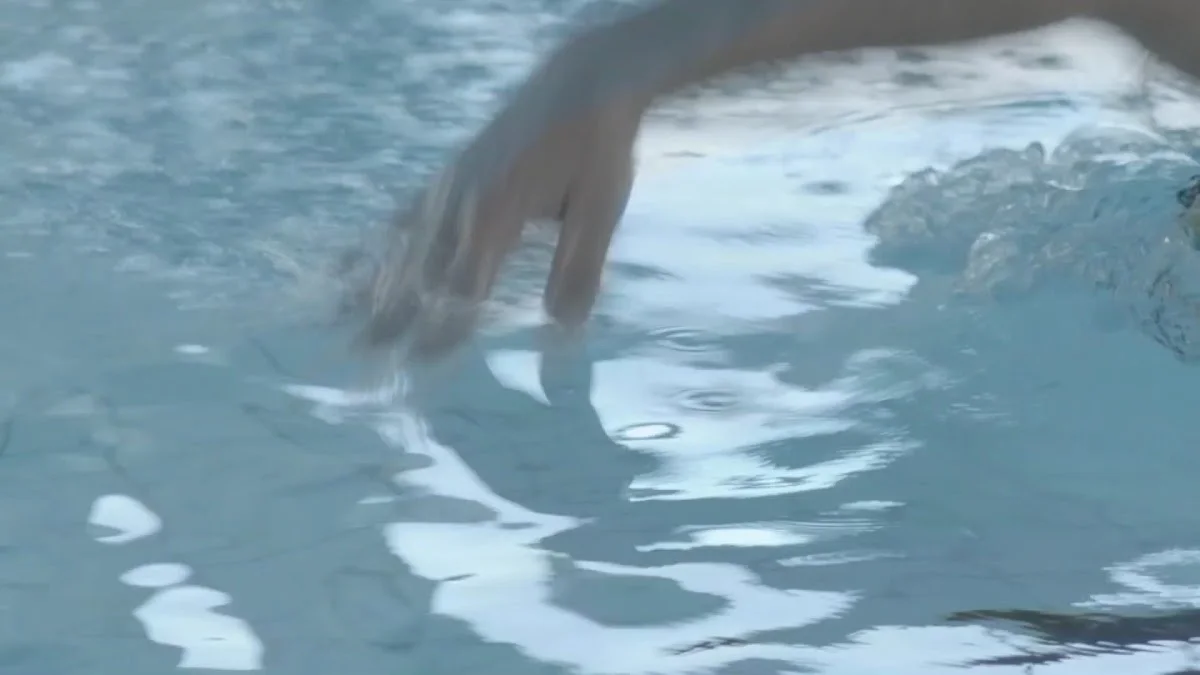 fresch - Freisinger Erlebnis Schwimmbad - Hallenbad, Freibad, Sauna und Massage – Vom Inhaber in Freising, Bayern