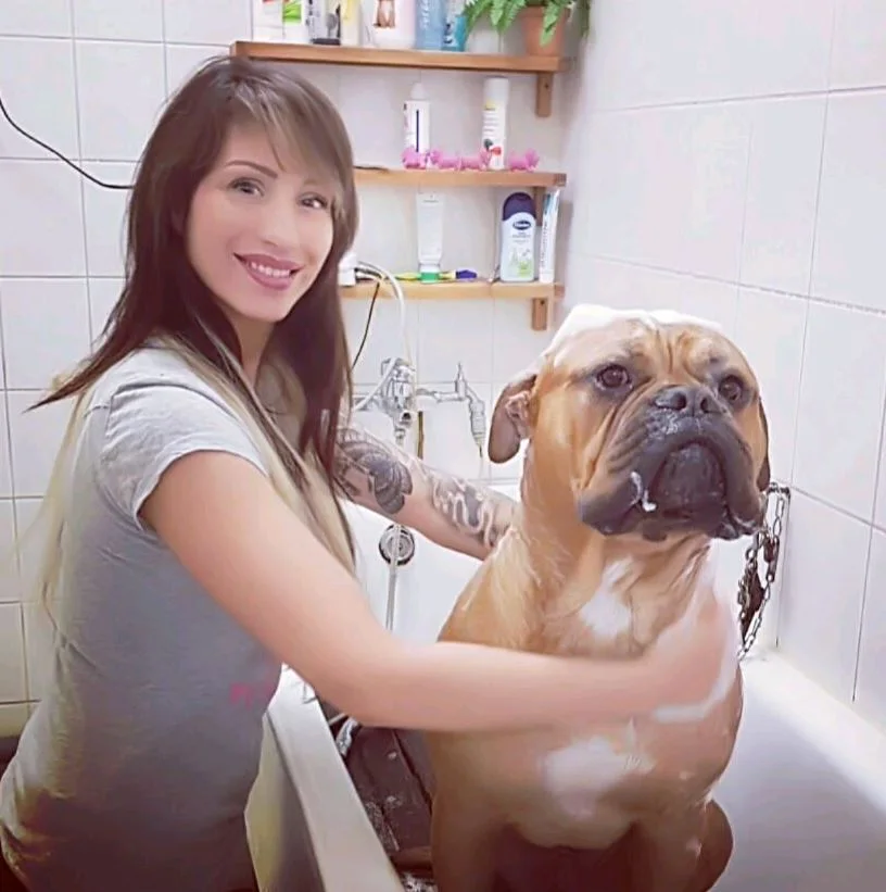 Hundeatelier Josephine – Vom Inhaber in Berlin