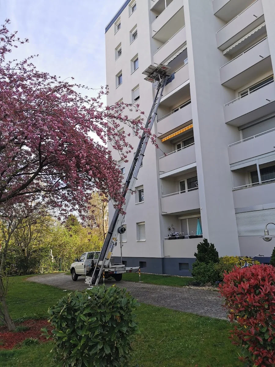 König Umzüge – Vom Inhaber in Bergheim, Nordrhein-Westfalen