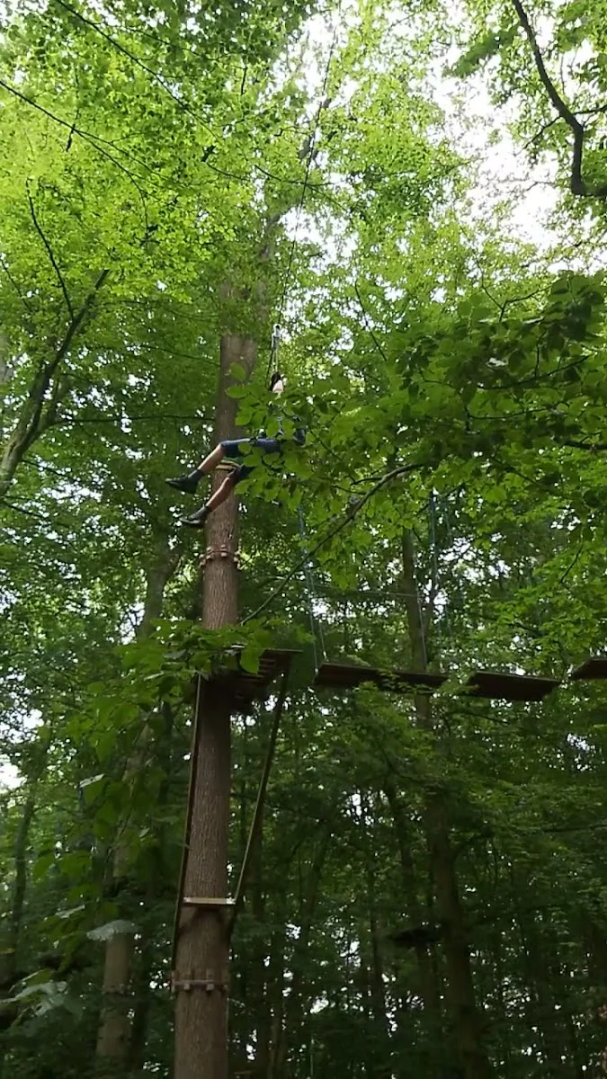 Kletterpark Hochseilgarten Hasloh – Eventmanagement-Firma in Hasloh, Schleswig-Holstein
