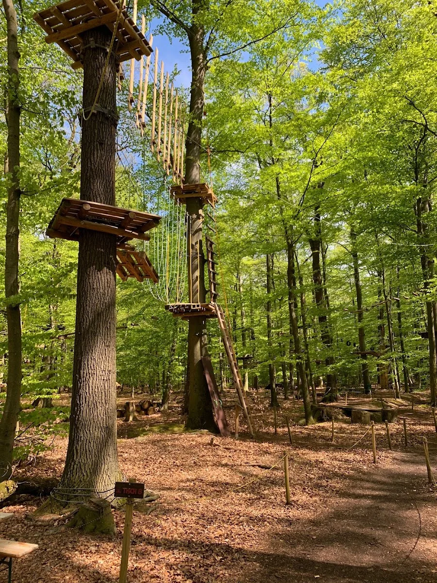 Kletterpark Hochseilgarten Hasloh – Profilfoto in Hasloh, Schleswig-Holstein