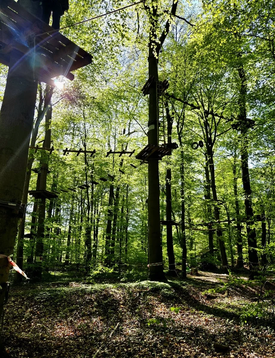 Kletterpark Hochseilgarten Hasloh – Besucherfoto von W. B. in Hasloh, Schleswig-Holstein