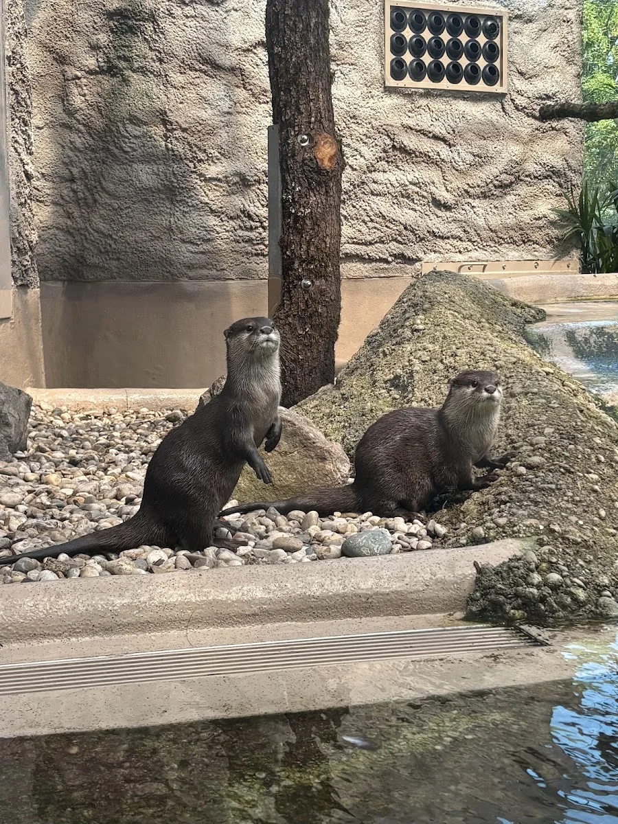Münchener Tierpark Hellabrunn – Sehenswürdigkeit in München, Bayern