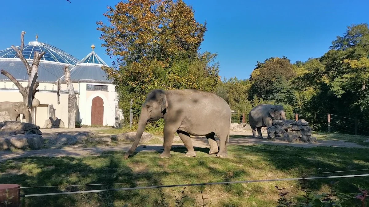 Münchener Tierpark Hellabrunn – Elefantenhaus in München, Bayern
