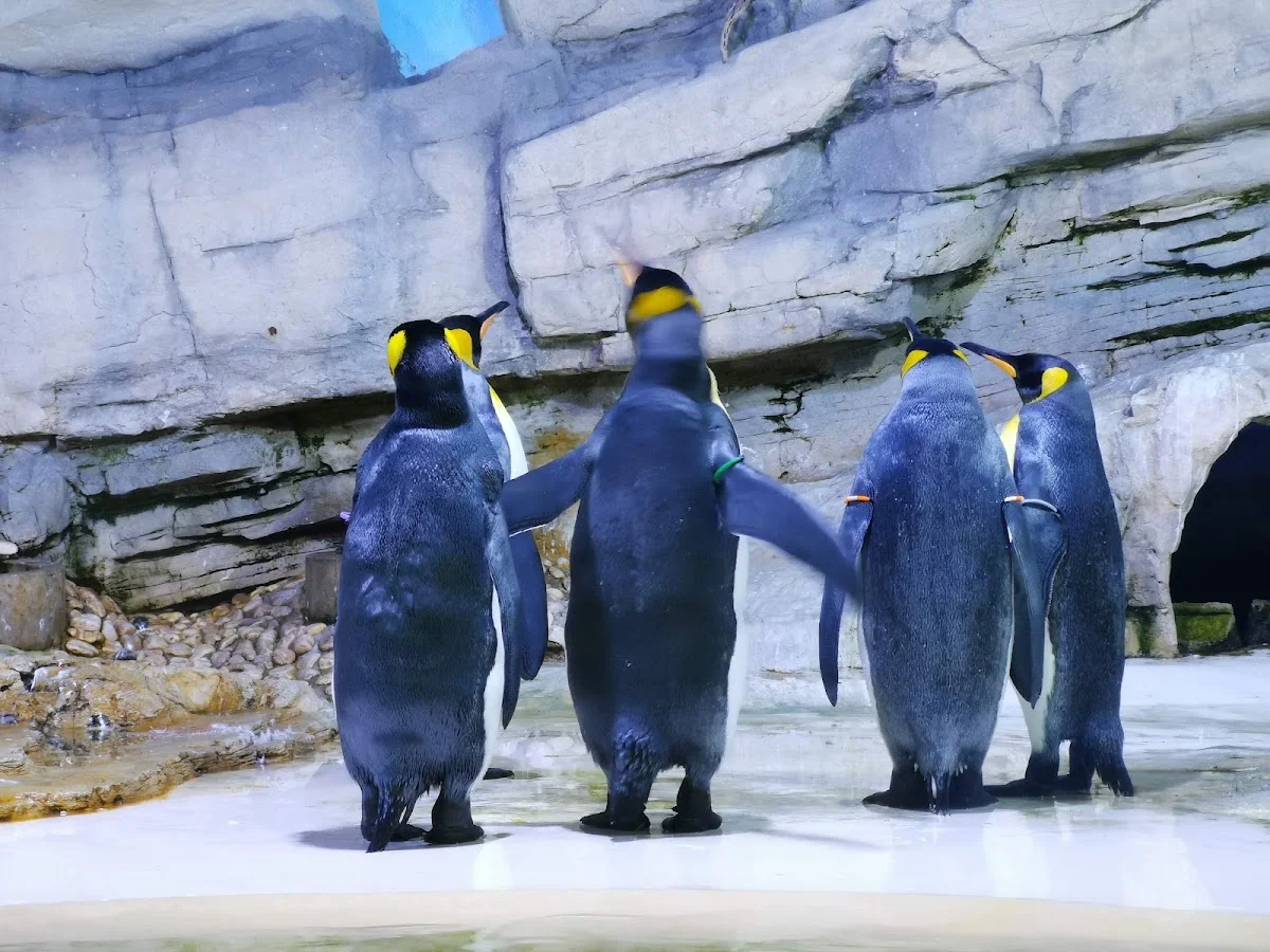Münchener Tierpark Hellabrunn – Vögel in München, Bayern