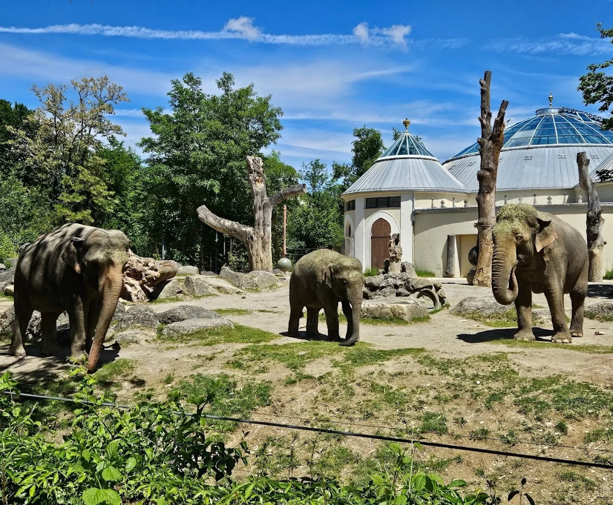 Münchener Tierpark Hellabrunn – Profilfoto in München, Bayern