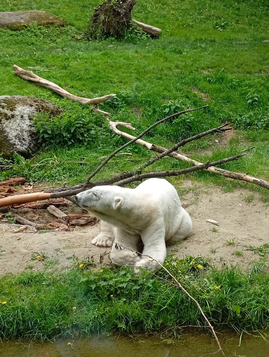 Münchener Tierpark Hellabrunn – Besucherfoto von JensAccount in München, Bayern