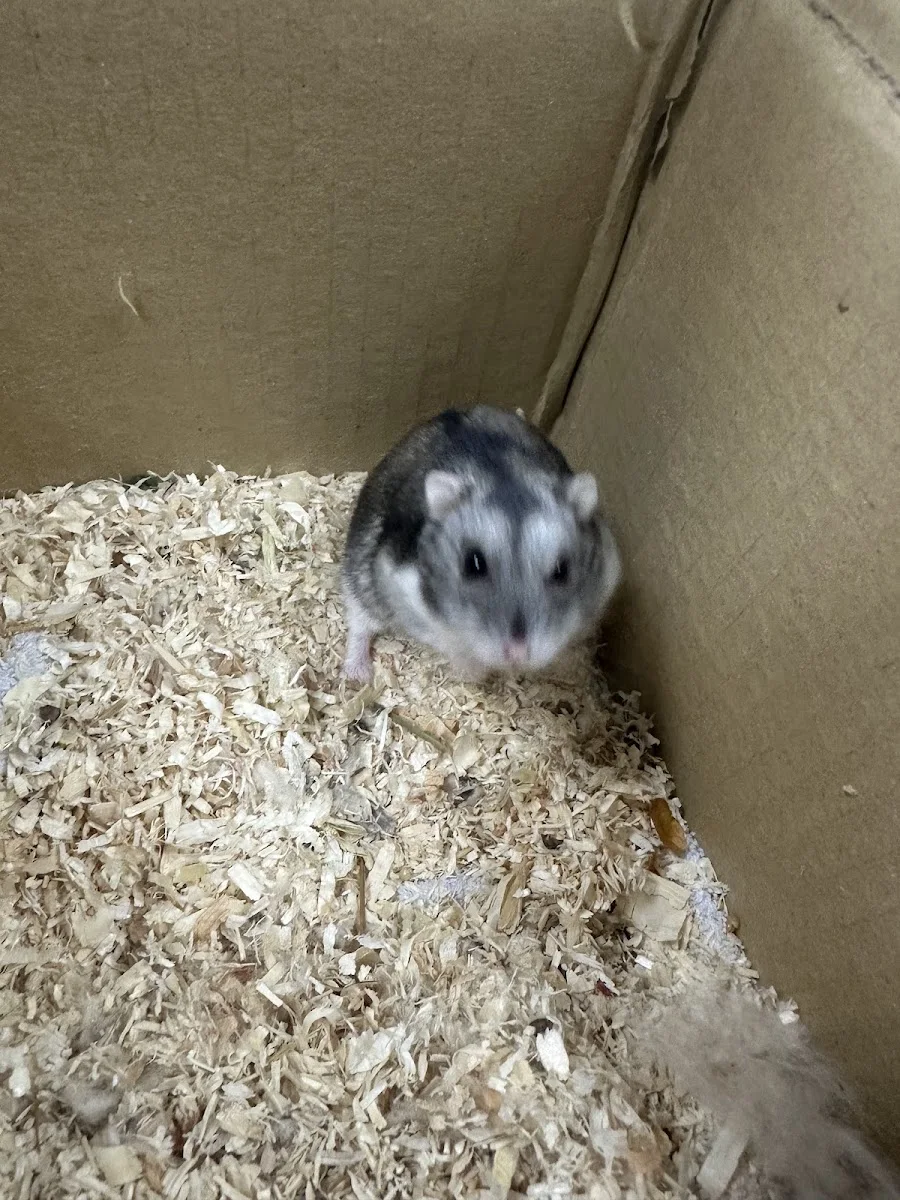 Tierarztpraxis Dr. Möhrke Dr. Rösch – Besucherfoto von olivia soppa in Dortmund, Nordrhein-Westfalen