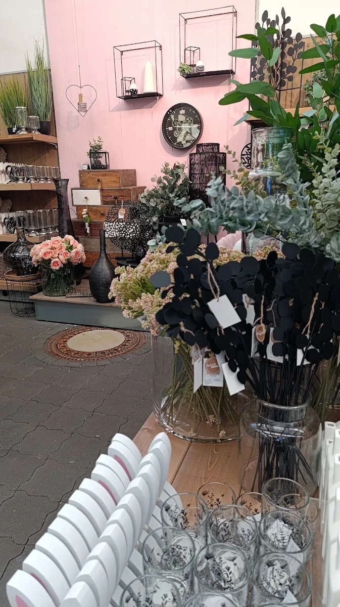 Schaar Pflanzenwelt GmbH Kreuzau-Stockheim – Blüte in Kreuzau, Nordrhein-Westfalen