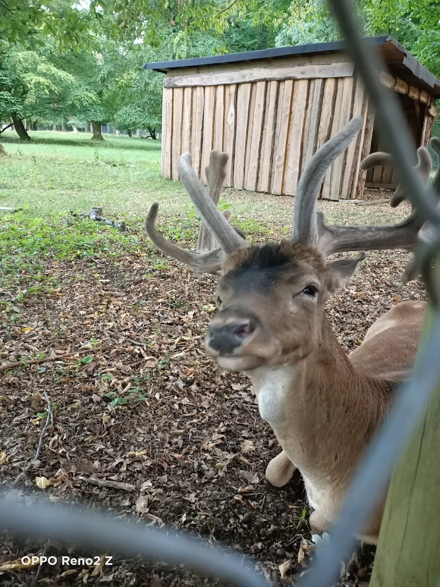Wildpark Dünnwald – Sehenswürdigkeit in Köln, Nordrhein-Westfalen