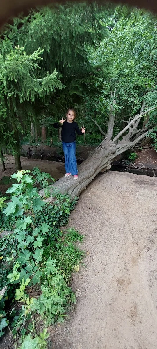 Wildpark Dünnwald – Besucherfoto von Special Queen#1 in Köln, Nordrhein-Westfalen