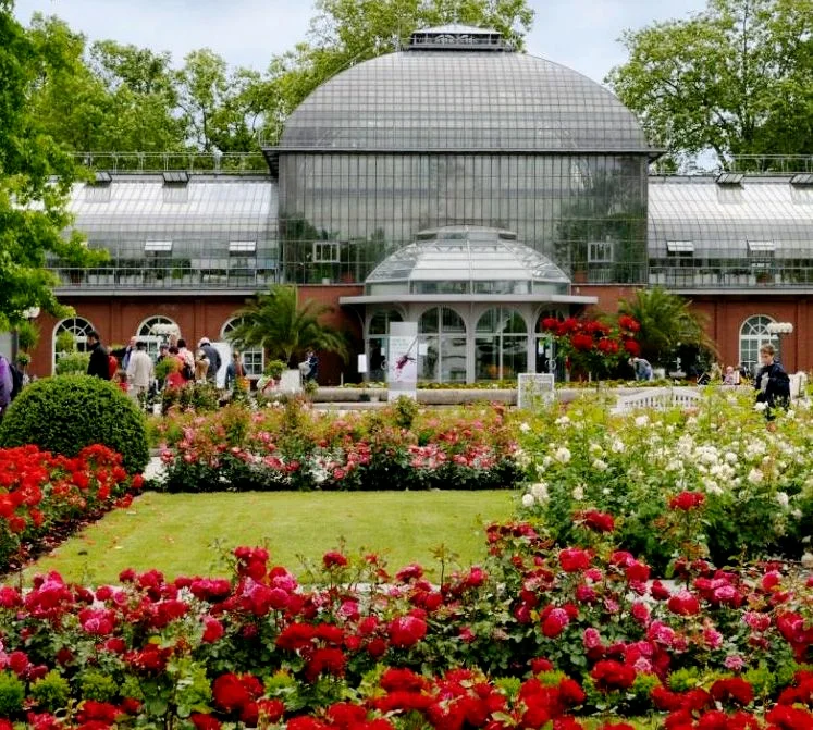 Palmengarten Frankfurt – Bedecktsamer in Frankfurt am Main, Hessen