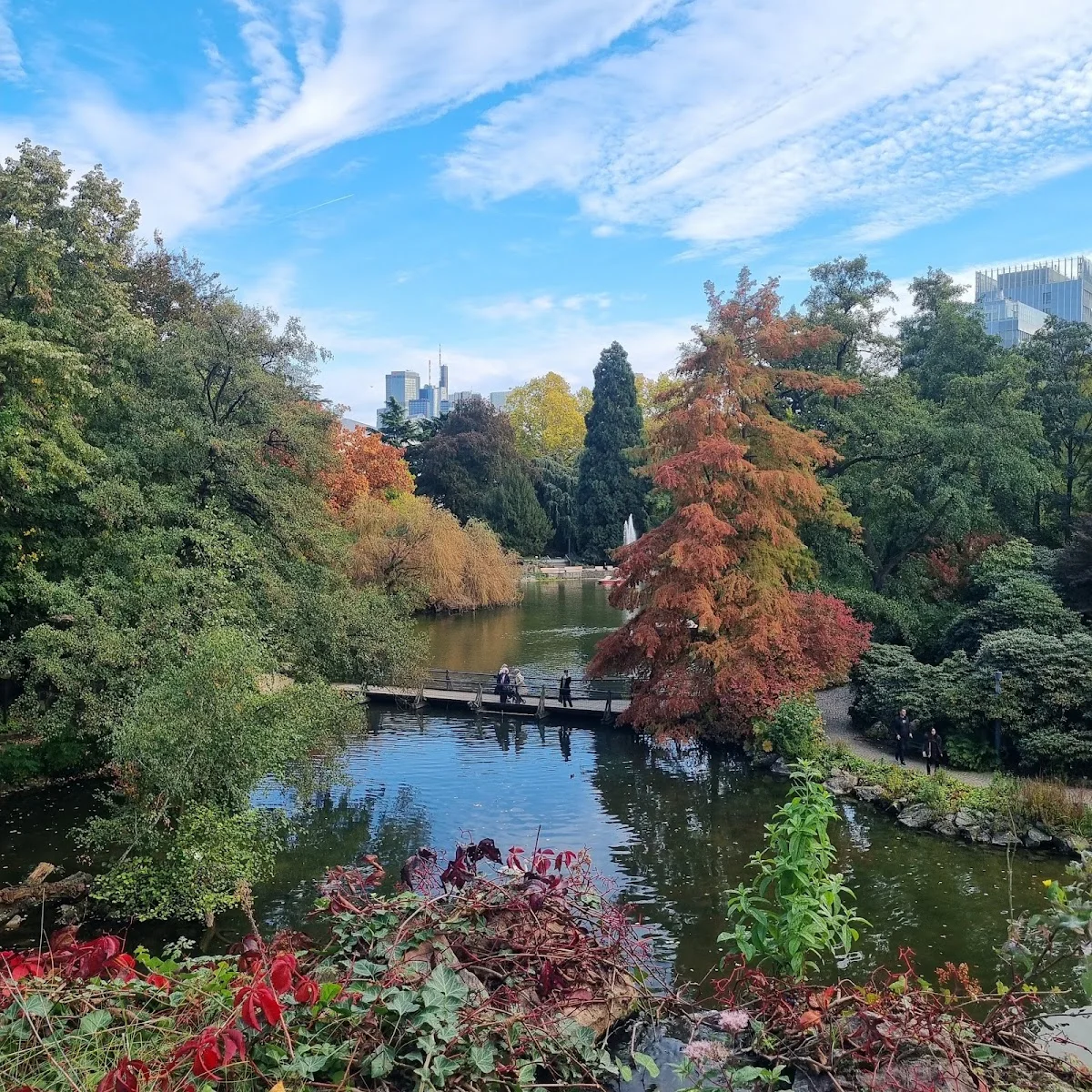 Palmengarten Frankfurt – Seerosenbecken Palmengarten in Frankfurt am Main, Hessen