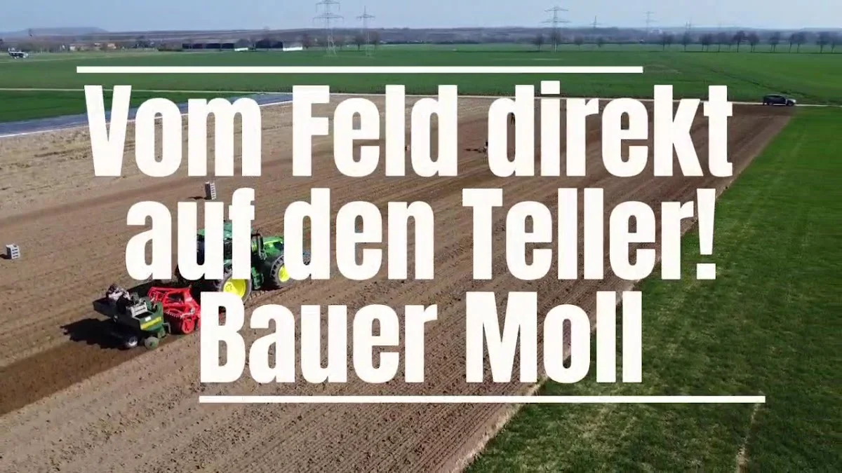 Hofladen Restaurant & Café Bauer Moll – Vom Inhaber in Kerpen, Nordrhein-Westfalen