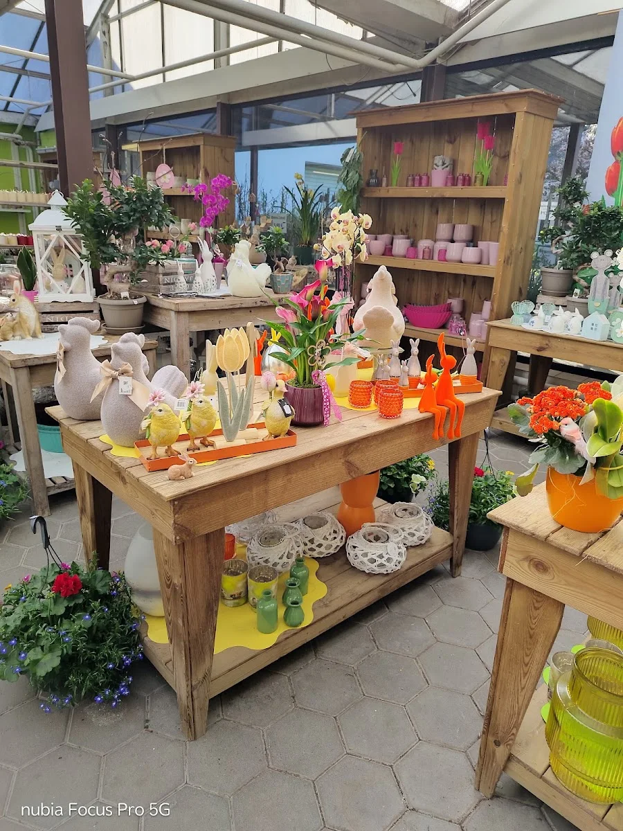 Pflanzen-Discount – Innenansichten in Bielefeld, Nordrhein-Westfalen