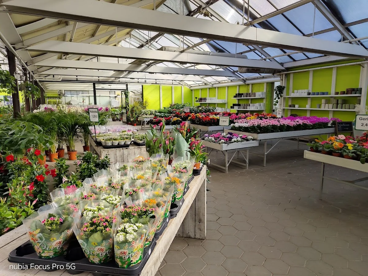 Pflanzen-Discount – Garten in Bielefeld, Nordrhein-Westfalen